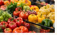A colorful display of tomatoes and peppers